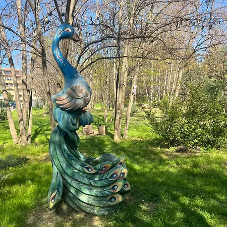 Complex Sol Marine Sunny アパート